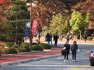 韩国的大学生活