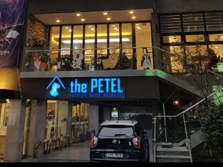 The Petel Premium Suite