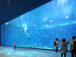 亚洲最大世界级水族馆，走进蓝色梦幻世界