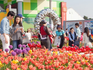 高阳国际花卉博览会